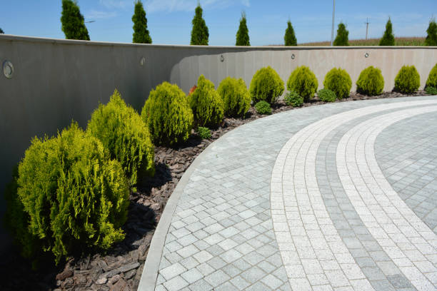 Best Driveway Paving Contractor  in Ewa Beach, HI